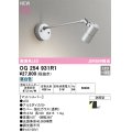 オーデリック OG254931R1 エクステリア スポットライト LED一体型 昼白色 高演色LED R15 防雨型 マットシルバー