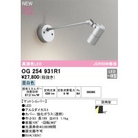 オーデリック OG254931R1 エクステリア スポットライト LED一体型 昼白色 高演色LED R15 防雨型 マットシルバー
