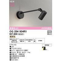 オーデリック OG254934R1 エクステリア スポットライト LED一体型 電球色 高演色LED R15 防雨型 ブラック