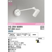 オーデリック OG254935R1 エクステリア スポットライト LED一体型 昼白色 高演色LED R15 防雨型 オフホワイト