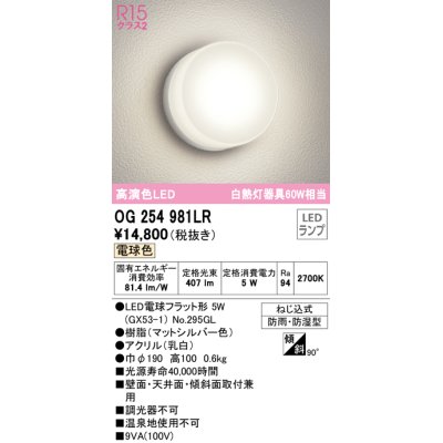 画像1: オーデリック　OG254981LR(ランプ別梱)　エクステリア ポーチライト LEDランプ 電球色 防雨・防湿型 マットシルバー