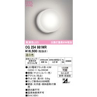 オーデリック　OG254981WR(ランプ別梱)　エクステリア ポーチライト LEDランプ 温白色 防雨・防湿型 マットシルバー