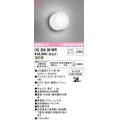 オーデリック　OG264001WR(ランプ別梱)　エクステリア ポーチライト LEDランプ 温白色 防雨・防湿型 オフホワイト