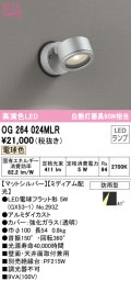 オーデリック　OG264024MLR(ランプ別梱)　エクステリア スポットライト LEDランプ 電球色 防雨型 マットシルバー