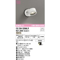 オーデリック　OG264026MLR(ランプ別梱)　エクステリア スポットライト LEDランプ 電球色 防雨型 オフホワイト