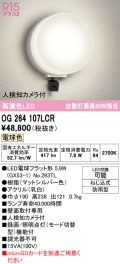 オーデリック OG264107LCR(ランプ別梱) エクステリア ポーチライト LEDランプ 電球色 高演色LED 人検知カメラ付 防雨型 マットシルバー