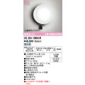 オーデリック OG264108NCR(ランプ別梱) エクステリア ポーチライト LEDランプ 昼白色 高演色LED 人検知カメラ付 防雨型 黒色