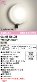 オーデリック OG264109LCR(ランプ別梱) エクステリア ポーチライト LEDランプ 電球色 高演色LED 人検知カメラ付 防雨型 オフホワイト