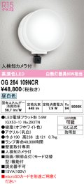 オーデリック OG264109NCR(ランプ別梱) エクステリア ポーチライト LEDランプ 昼白色 高演色LED 人検知カメラ付 防雨型 オフホワイト