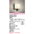 オーデリック OG264110LCR(ランプ別梱) エクステリア ポーチライト LEDランプ 電球色 高演色LED 人検知カメラ付 防水パッキンレス型 防雨型 黒色