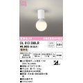 オーデリック　OL013280LR(ランプ別梱)　シーリングライト 非調光 LEDランプ 電球色 オフホワイト ￡