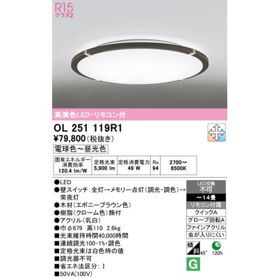 ol251119r1