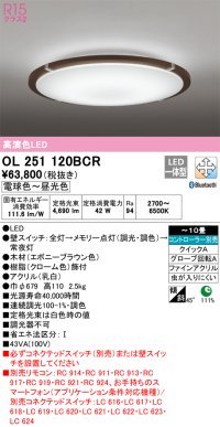 オーデリック　OL251120BCR　シーリングライト 10畳 調光 調色 Bluetooth リモコン別売 LED一体型 電球色〜昼光色 エボニーブラウン [♭]