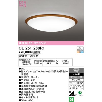 ol251263r1