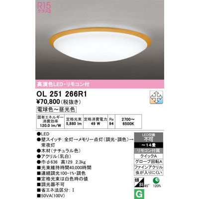 ol251266r1