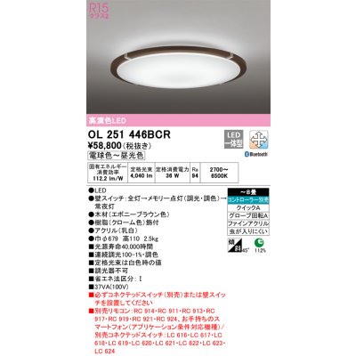 画像1: オーデリック　OL251446BCR　シーリングライト 8畳 調光 調色 Bluetooth リモコン別売 LED一体型 電球色〜昼光色 エボニーブラウン [♭]