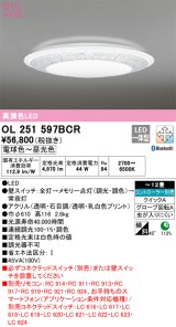 オーデリック　OL251597BCR　シーリングライト 12畳 調光 調色 Bluetooth リモコン別売 LED一体型 電球色〜昼光色 [♭]