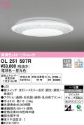 オーデリック　OL251597R　シーリングライト 12畳 調光 調色 リモコン付属 LED一体型 電球色〜昼光色 [♭]