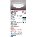 オーデリック OL251617BRE1 シーリングライト 12畳 調光調色 Bluetooth リモコン別売 LED一体型 電球色〜昼光色 高演色LED R15 住宅用非常灯付