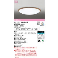 オーデリック　OL251621BCR　シーリングライト 12畳 調光 調色 Bluetooth リモコン別売 LED一体型 電球色〜昼光色 チェリー [♭]