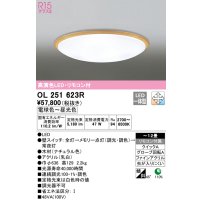 オーデリック　OL251623R　シーリングライト 12畳 調光 調色 リモコン付属 LED一体型 電球色〜昼光色 ナチュラル [♭]