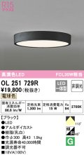 オーデリック　OL251729R　シーリングライト 非調光 LED一体型 電球色 ブラック