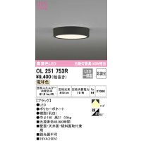 オーデリック　OL251753R　シーリングライト 非調光 LED一体型 電球色 ブラック