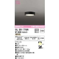 オーデリック　OL251775R　シーリングライト 非調光 LED一体型 電球色 ブラック