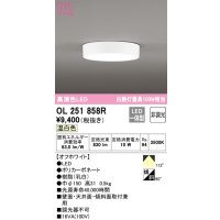 オーデリック　OL251858R　シーリングライト 非調光 LED一体型 温白色 オフホワイト