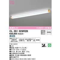 オーデリック　OL291029R2B(LEDユニット別梱)　ブラケットライト 非調光 LED一体型 昼白色 木調ナチュラル