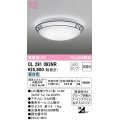 オーデリック　OL291093NR(ランプ別梱)　シーリングライト 非調光 LEDランプ 昼白色