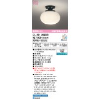 オーデリック　OL291280BR(ランプ別梱)　シーリングライト 調光 調色 Bluetooth コントローラー別売 和風 LEDランプ 電球色〜昼光色 黒色