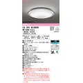 オーデリック　OL291353BRE　シーリングライト 8畳 調光 調色 Bluetooth コントローラー別売 LED一体型 電球色〜昼光色 住宅用非常灯付