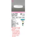 オーデリック　OL291431BR　シーリングライト 調光 調色 Bluetooth コントローラー別売 LED一体型 電球色〜昼光色 オフホワイト