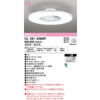 オーデリック　OL291438BR　シーリングファン 灯体一体型 8畳 調光 調色 Bluetooth リモコン付 スイッチ別売 LED一体型 電球色〜昼光色 オフホワイト