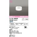 オーデリック　OL291446NDR(ランプ別梱)　シーリングライト 非調光 LEDランプ 昼白色 オフホワイト