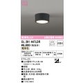 オーデリック　OL291447LDR(ランプ別梱)　シーリングライト 非調光 LEDランプ 電球色 ブラック