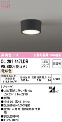 オーデリック　OL291447LDR(ランプ別梱)　シーリングライト 非調光 LEDランプ 電球色 ブラック