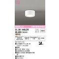 オーデリック　OL291448LDR(ランプ別梱)　シーリングライト 非調光 LEDランプ 電球色 オフホワイト