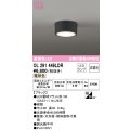 オーデリック　OL291449LDR(ランプ別梱)　シーリングライト 非調光 LEDランプ 電球色 ブラック
