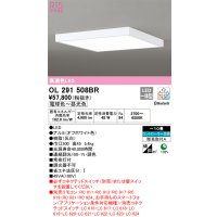 オーデリック　OL291508BR　シーリングライト 10畳 調光 調色 Bluetooth コントローラー別売 LED一体型 電球色〜昼光色 オフホワイト