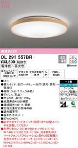 オーデリック　OL291557BR　シーリングライト 8畳 調光 調色 Bluetooth コントローラー別売 LED一体型 電球色〜昼光色 ライトナチュラル