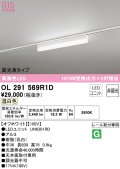 オーデリック　OL291569R1D(LED光源ユニット別梱)　ベースライト 非調光 LEDユニット交換型 温白色 レール取付型 オフホワイト