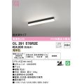 オーデリック　OL291578R2E(LED光源ユニット別梱)　ベースライト 非調光 LEDユニット交換型 電球色 直付型 ブラック