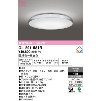 ol291581r
