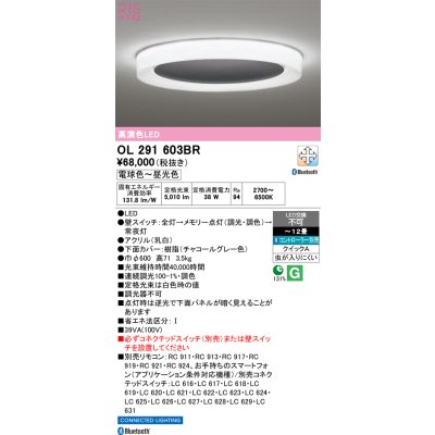画像1: オーデリック OL291603BR シーリングライト 12畳 調光調色 Bluetooth リモコン別売 LED一体型 高演色LED チャコールグレー
