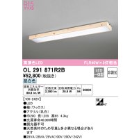 オーデリック　OL291871R2B　ベースライト 非調光和風 LED一体型 昼白色 檜