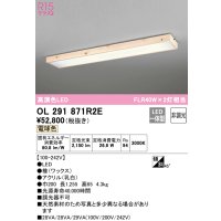 オーデリック　OL291871R2E　ベースライト 非調光和風 LED一体型 電球色 檜