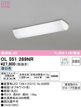 オーデリック　OL551289NR　キッチンライト 非調光 LEDランプ 直管形LED 昼白色 オフホワイト ￡