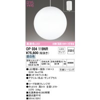 オーデリック　OP034119NR(ランプ別梱)　ペンダントライト 非調光 LEDランプ 昼白色 フレンジタイプ